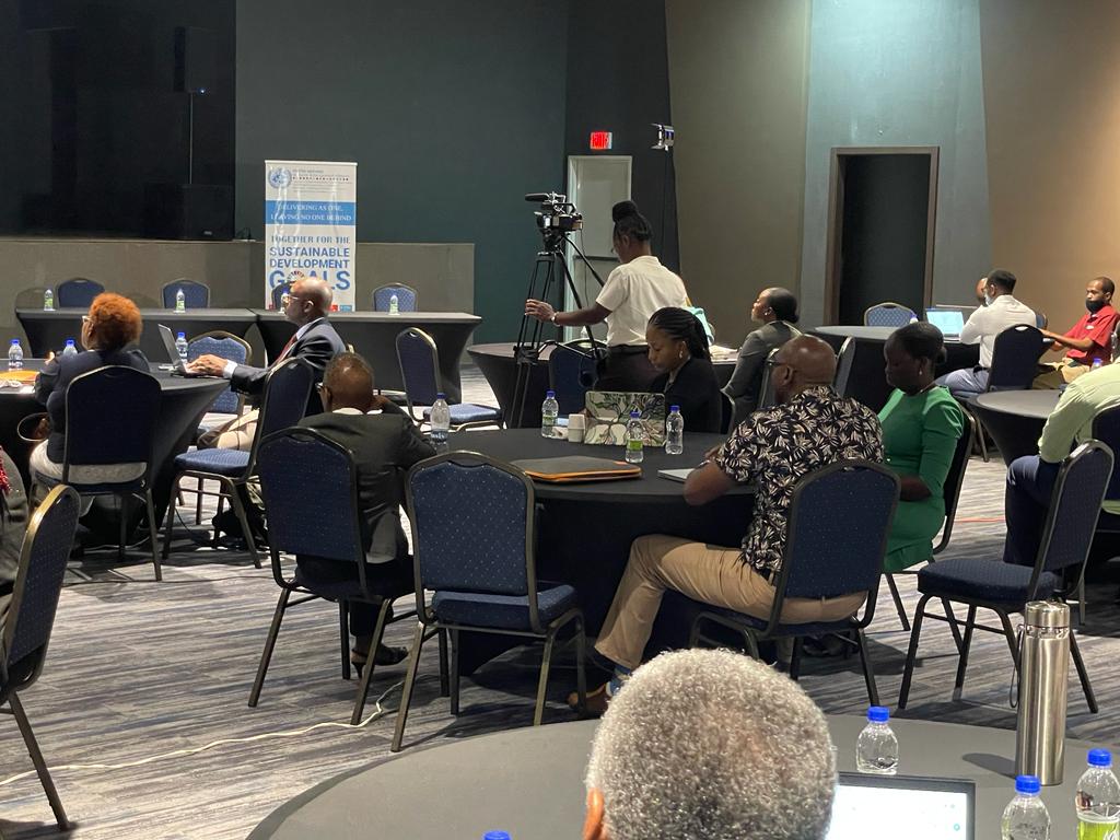 Participants at the UN Digital Readiness Assessment Workshop during the opening ceremony.