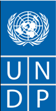 The United Nations Development Programme (UNDP)