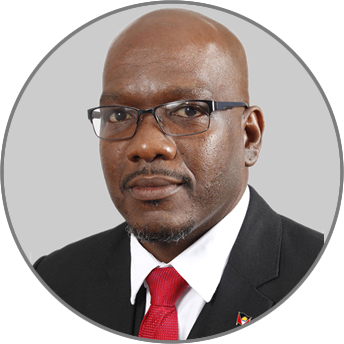 Hon. Daryll Sylvester Matthew