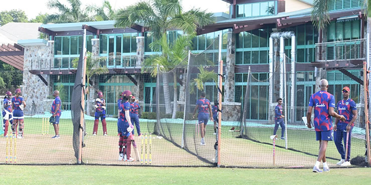 women cricketers